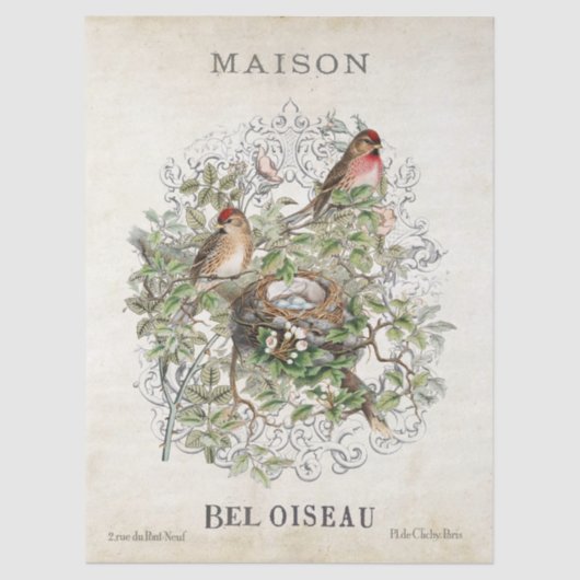 ヴィンテージフランスのバードネストメゾンフレームデカップージ 薄葉紙 (正面)