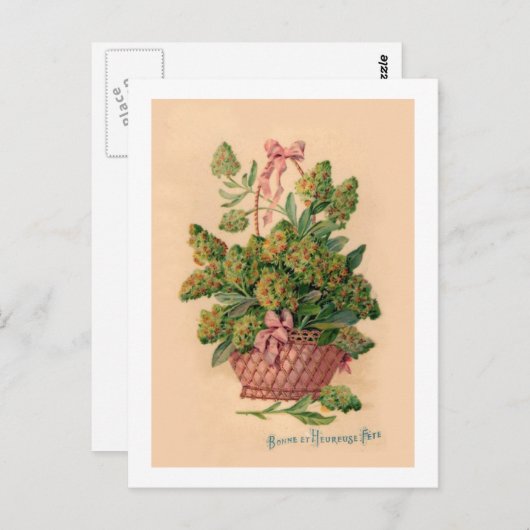ヴィンテージフランスのフルーアイラストレーション ポストカード (正面/裏面)