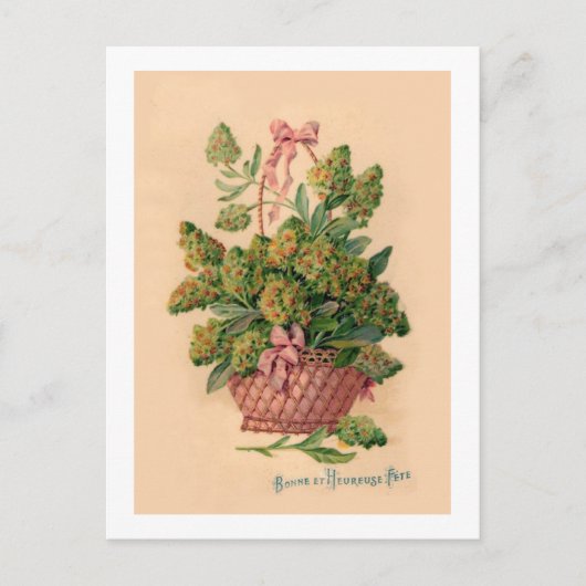 ヴィンテージフランスのフルーアイラストレーション ポストカード (正面)