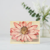 ヴィンテージフランスのフローラエフェメラデカップピンクのティス ポストカード (スタンド正面)