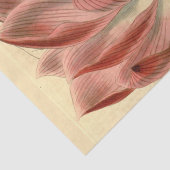 ヴィンテージフランスのフローラエフェメラデカップピンクのティス 薄葉紙 (詳細)