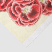 ヴィンテージフランスのフローラエフェメラデコパージュピンク 薄葉紙 (詳細)