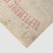 ヴィンテージフランスのフローラブルーピンクエフェメラデクページ 薄葉紙 (詳細)