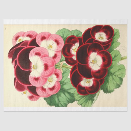 ヴィンテージフランスのフローラEphemeraデカップピンク 薄葉紙 (正面)