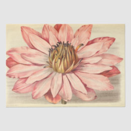 ヴィンテージフランスのフローラEphemeraデカップピンク 薄葉紙