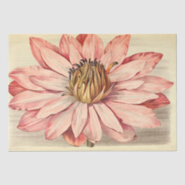 ヴィンテージフランスのフローラEphemeraデカップピンク 薄葉紙