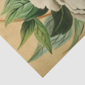 ヴィンテージフランスのフローラEphemera Decompageホワイト 薄葉紙 (詳細)