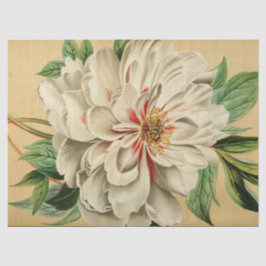 ヴィンテージフランスのフローラEphemera Decompageホワイト 薄葉紙