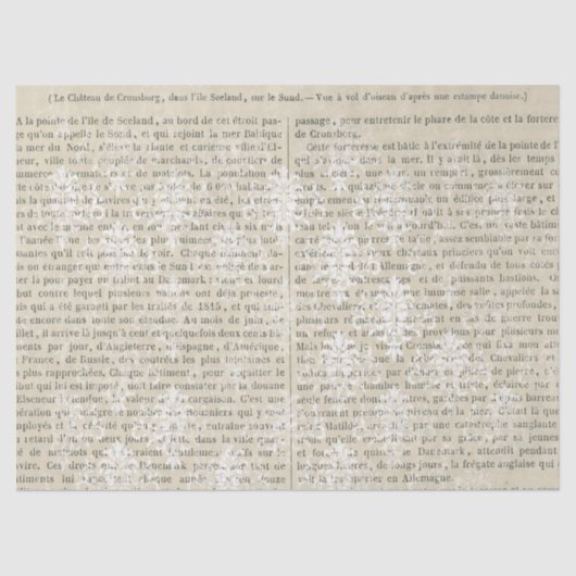 ヴィンテージフランスのホワイトダマスクの新聞切り離し 薄葉紙 (正面)