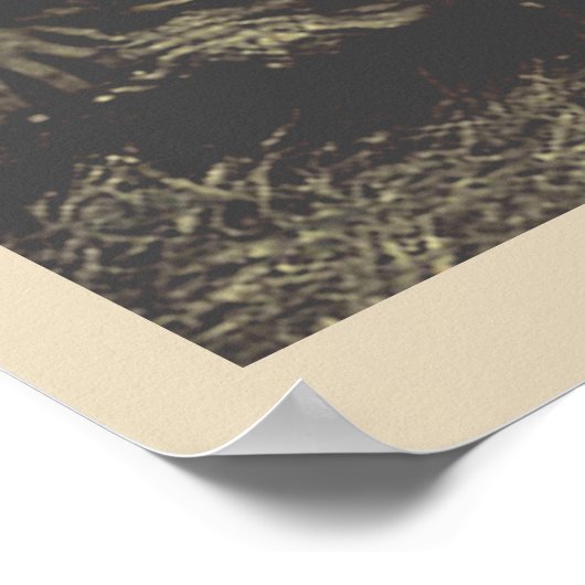 ヴィンテージフランスのポリネシア旅行ポスター ポスター (角)