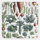 ヴィンテージフランスのレグルメエプランテポタゲレス スクエアシール (正面)