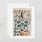 ヴィンテージフランスのレグルメエプランテポタゲレス ポストカード (正面/裏面)