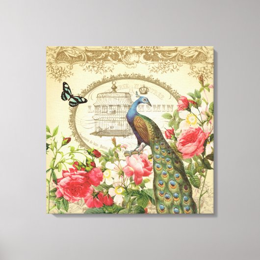 ヴィンテージフランスの孔雀の引き伸ばしキャンバス キャンバスプリント (正面)