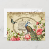 ヴィンテージフランスの孔雀はがき ポストカード (正面/裏面)