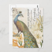 ヴィンテージフランスの孔雀フローラ葉書 ポストカード (正面/裏面)