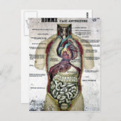 ヴィンテージフランスの解剖用はがき ポストカード (正面/裏面)