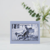 ヴィンテージフランスの野菜売り及び犬カート ポストカード (スタンド正面)