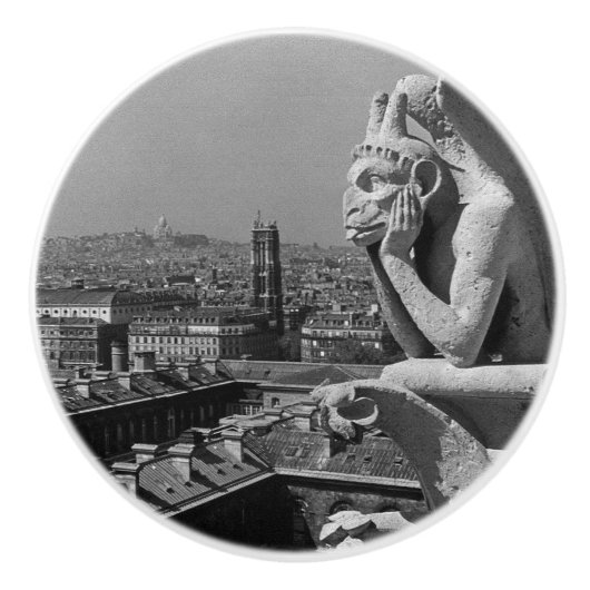 ヴィンテージフランスパリノートルダムカテドラルシンカー セラミックノブ (正面)