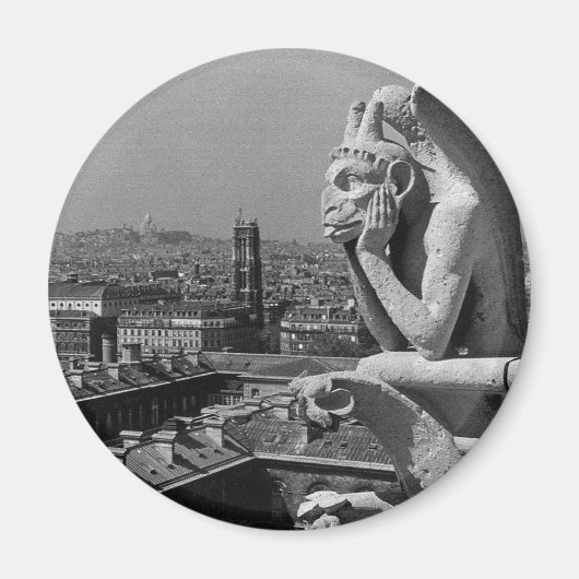 ヴィンテージフランスパリノートルダムカテドラルシンカー マグネット (正面)