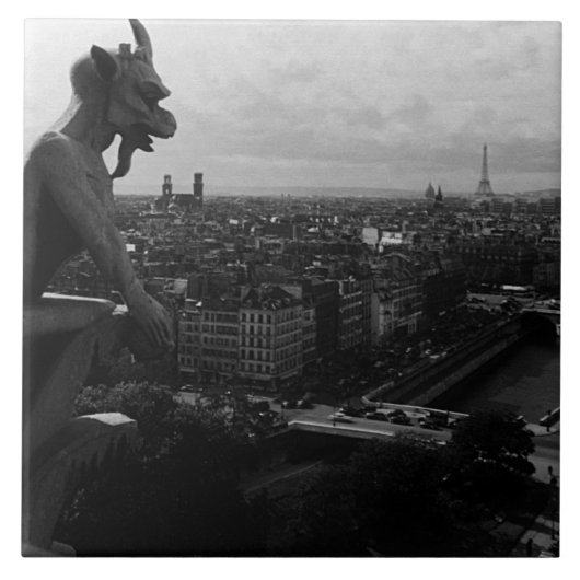 ヴィンテージフランスパリノートルダムカテドラルデビル タイル (正面)