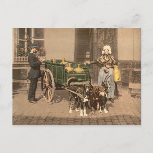 ヴィンテージフランダース乳母 ポストカード (正面)
