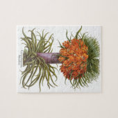 ヴィンテージフリティラリア花バイバシリウスベスラー ジグソーパズル (横)