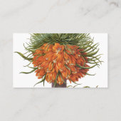 ヴィンテージフリティラリア花バイバシリウスベスラー 名刺 (裏面)