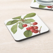 ヴィンテージフルーツさくらんぼ食品、さくらんぼバイルドゥート コースター (左側)