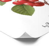 ヴィンテージフルーツさくらんぼ食品、さくらんぼバイルドゥート ポスター (角)