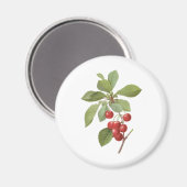 ヴィンテージフルーツさくらんぼ食品、さくらんぼバイルドゥート マグネット (正面/裏面)