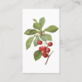 ヴィンテージフルーツさくらんぼ食品、さくらんぼバイルドゥート 名刺 (裏面)