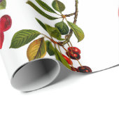 ヴィンテージフルーツりんご梨ぶどうアート ラッピングペーパー (ロールコーナー)