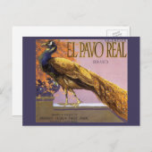 ヴィンテージフルーツクラートラベルアートエルパボピーコックバード ポストカード (正面/裏面)