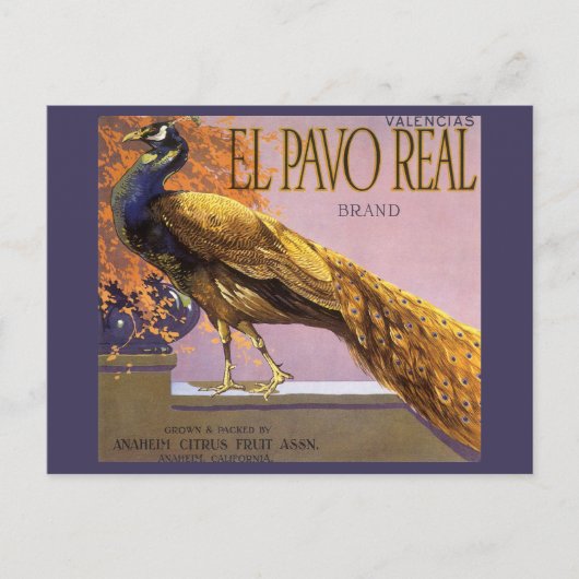 ヴィンテージフルーツクラートラベルアートエルパボピーコックバード ポストカード (正面)