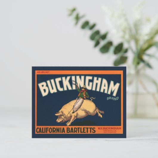 ヴィンテージフルーツクラートラベルアートカウボーイオンピッグロデオ ポストカード (スタンド正面)