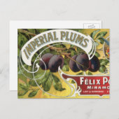 ヴィンテージフルーツクラートラベルアート、インペリアルプラム ポストカード (正面/裏面)