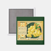 ヴィンテージフルーツクラートラベルアート、マスカットブドウ マグネット (正面/裏面)