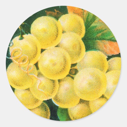 ヴィンテージフルーツクラートラベルアート、マスカットブドウ ラウンドシール (正面)