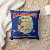 ヴィンテージフルーツクレートのラベルクリアウォーターフロリダ クッション (ブランケット)