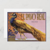 ヴィンテージフルーツクレートラベルアートエルパボピーコックバード ポストカード (正面/裏面)