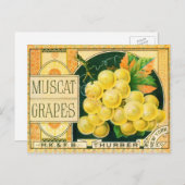 ヴィンテージフルーツクレートラベルアート、マスカットブドウ ポストカード (正面/裏面)
