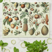 ヴィンテージフルーツバイアドルフミロ キッチンタオル (折り畳み)