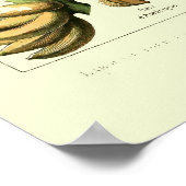 ヴィンテージフルーツバイアドルフミロ ポスター (角)