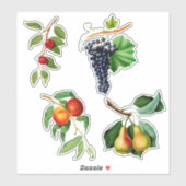 ヴィンテージフルーツバイガリシオ シール (シート)