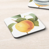 ヴィンテージフルーツフード、カルビルアップルバイルドゥート コースター (左側)