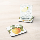 ヴィンテージフルーツフード、カルビルアップルバイルドゥート コースター (右側)