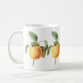 ヴィンテージフルーツフード、カルビルアップルバイルドゥート コーヒーマグカップ (左)