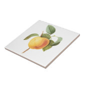 ヴィンテージフルーツフード、カルビルアップルバイルドゥート タイル (側面)