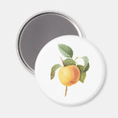 ヴィンテージフルーツフード、カルビルアップルバイルドゥート マグネット (正面/裏面)