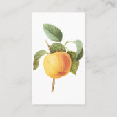 ヴィンテージフルーツフード、カルビルアップルバイルドゥート 名刺 (裏面)